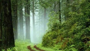 25169_1409245593173_1651427_n - Copie - Copie (2)