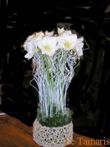 Composition d'amaryllis blanc