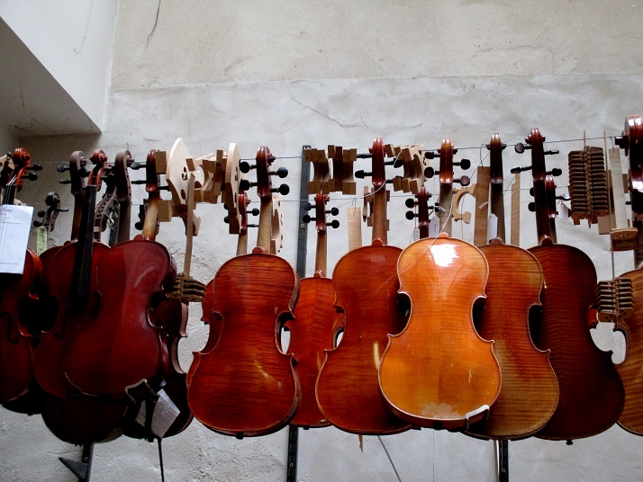 nombreux violons de toutes couleurs en attenteà l' atelier du Luthier