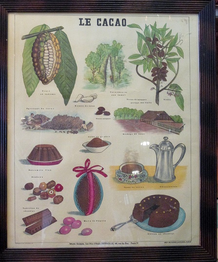Affiche Le cacao au musée du Maitre Chocolatier Serge Couzicou