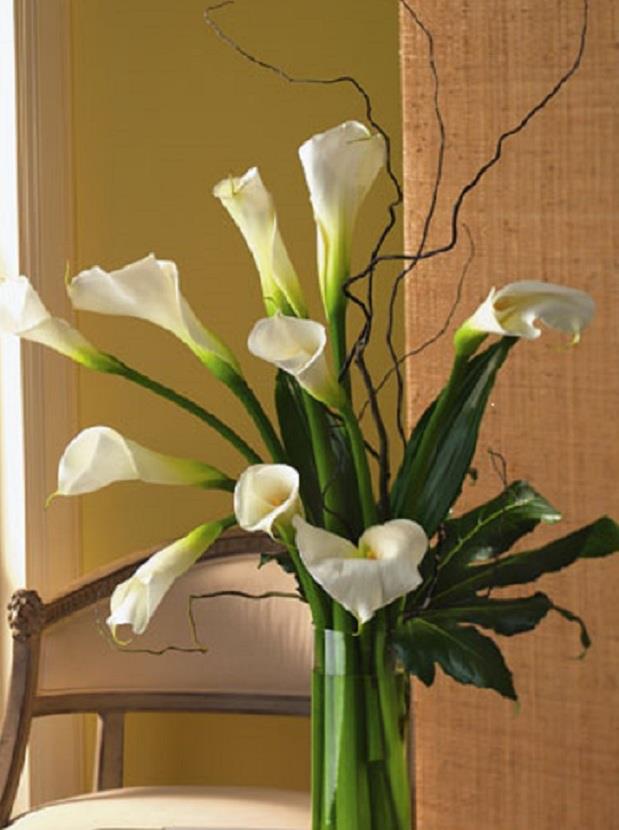 Bouquet d'Arum blanc / calla