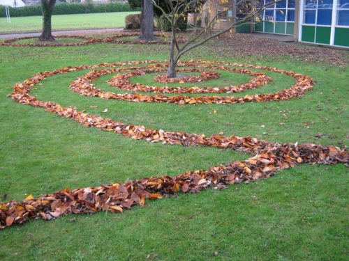 Land'art chemin de feuilles