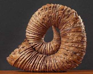 Andy Goldsworthy, OBE is a British sculptor, photographer and environmentalist producing site-specific sculpture and land art situated in natural and urban settings. He lives and works in Scotland.