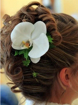 Epingle à cheveux en phalaenopsis