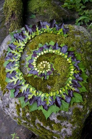 Land'art forme concentrique bicolore de feuilles