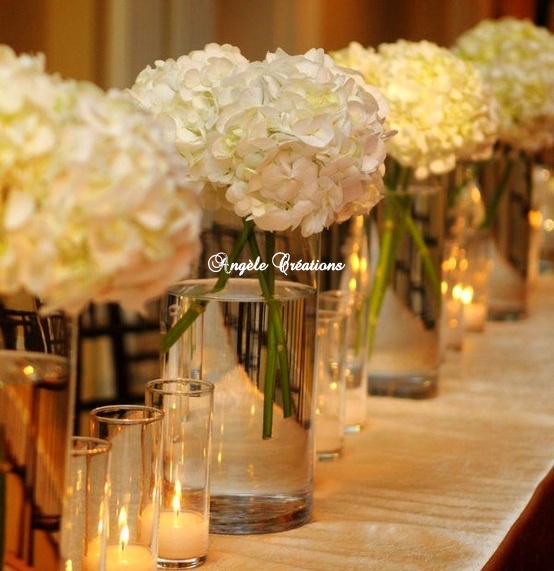 Vases de boules d'Hortensia blanc