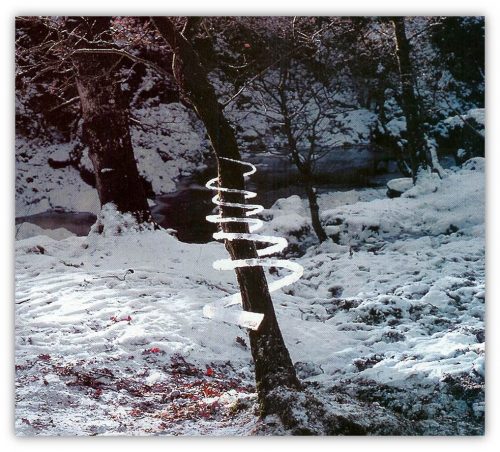 Land'art Structure de glace autour d'un arbre