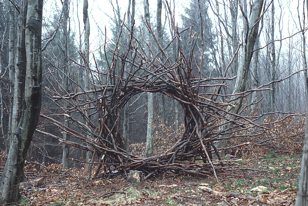 Land'art structure en branchage dans la forêt