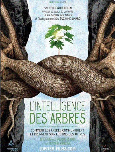 affiche l'intelligence des arbres