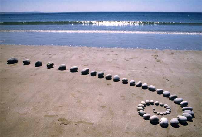 Instllation de galets en courbe sur plage land'art