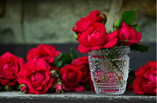 Roses rouges dans un verre