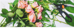 Bannière roses et sécateur