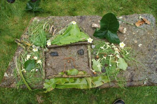 Scene végétale land'art