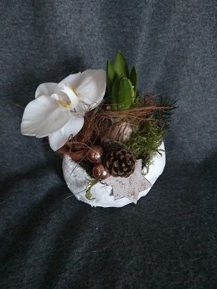 mini compo structure en platre