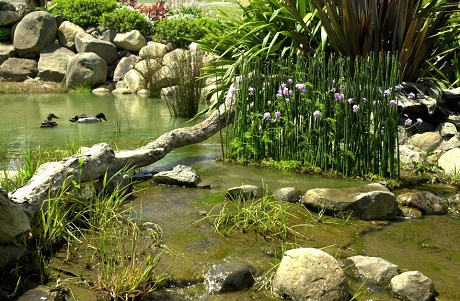 Paysage de rivière en montagne