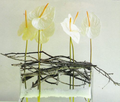 Composition d'anthurium blanc moderne