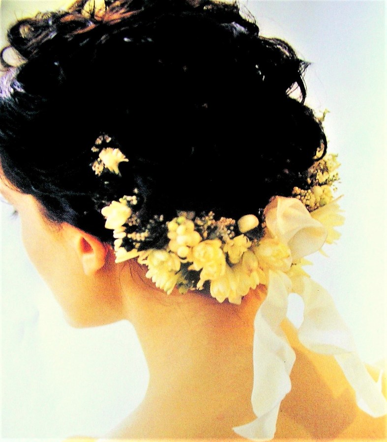 Accessoires barrette de chigon