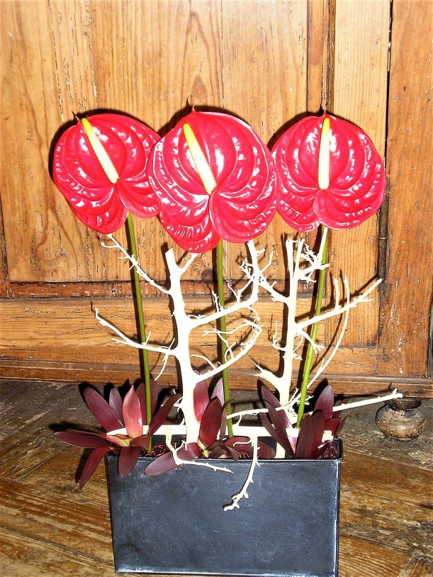 Composition piquée d'anthurium rouge