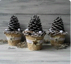 pomme de pin dans pot