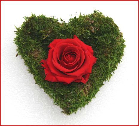 Cœur en mousse et rose éternelle que l'on pourrait réaliser aussi lors d'un atelier EVJF!