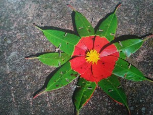 Fleur réalisé avec des feuilles de couleurs