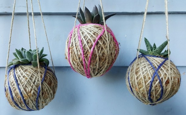Une petite plante grasse moins gourmande en eau se plaira en altitude!