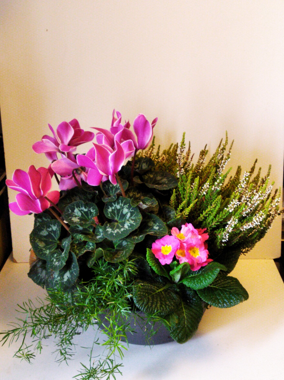 Coupe de cyclamen et bruyère et autres petits végétaux 
à partir de 60€