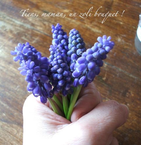 mini bouquet de muscaris