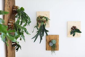 Une conception québécoise des plantes et un système astucieux qui permet de les maintenir à la verticale!