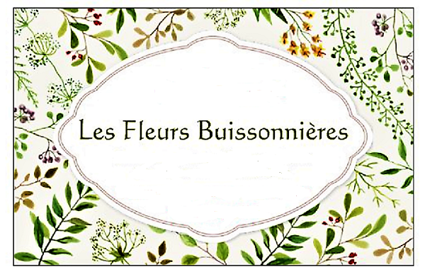Carte "Les fleurs Buissonnières"