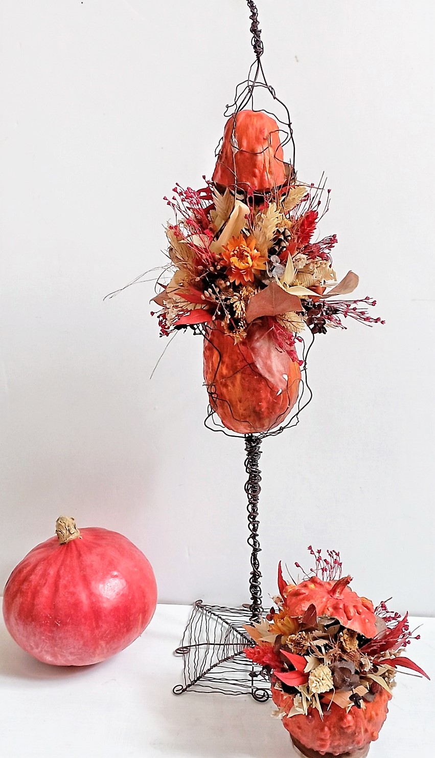 Coloquintes séchés