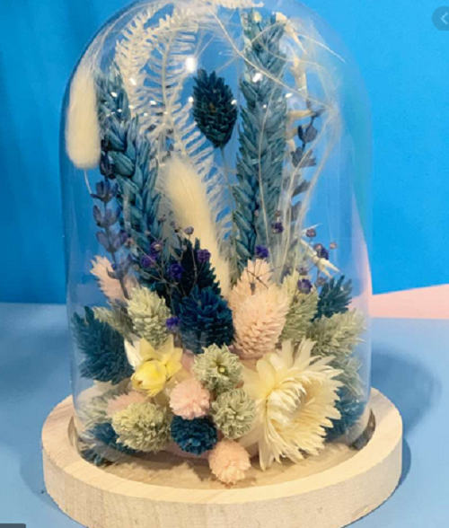Cloche/globe