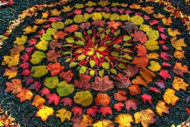 mandala de feuilles